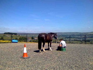 A participant and horse Teddy sharing a reflective moment in the round pen on a beautiful sunny day