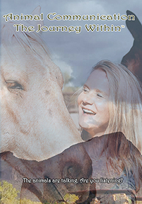Animal Communication: The Journey Within - In Harmony With Horses