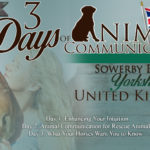 AC-3DAY-UK 2017