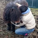 Horse Reiki 2