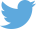 Twitter_logo_blue_h29