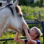 home-IMG_2216